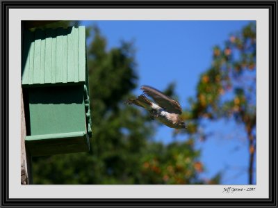 leaving-home-framed.jpg