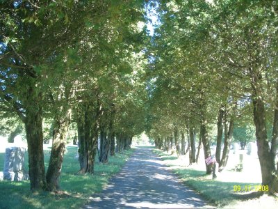 sunnysideroad.jpg