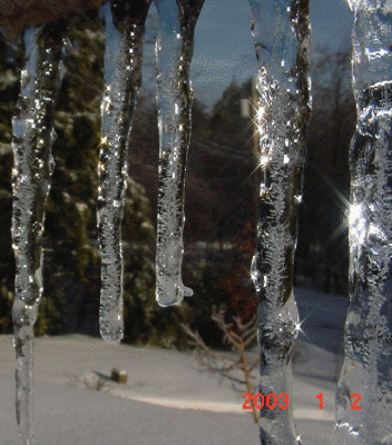 icicle2003.gif