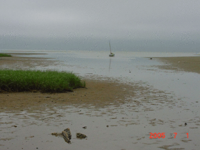 06/30/05-Cape Cod, MA