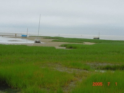 06/30/05-Cape Cod, MA