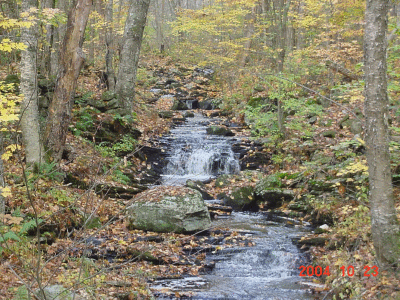 DSC00050.gif
