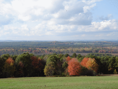 DSC08364.gif