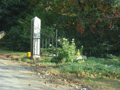 DSC08400.gif