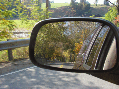 DSC08405.gif