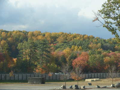DSC08408.gif