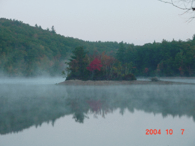 am-fog1.gif