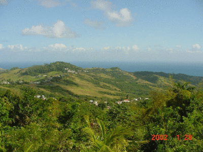 barbados 1.gif