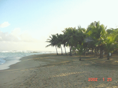 beaches.gif