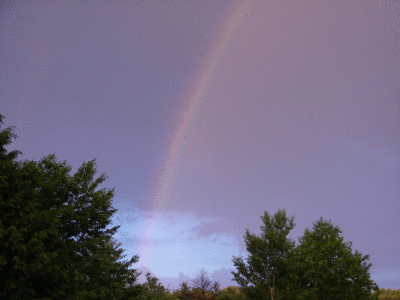 rainbow2-062006.gif
