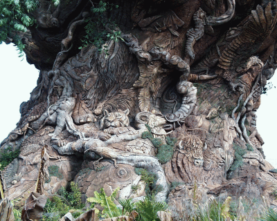 Tree of Life, Disney, Orlando FL