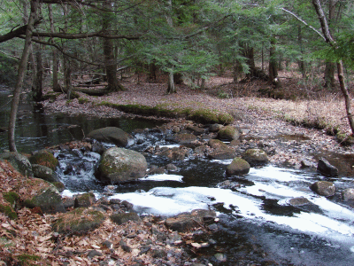 120207-02.gif
