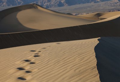 Dune 1.jpg