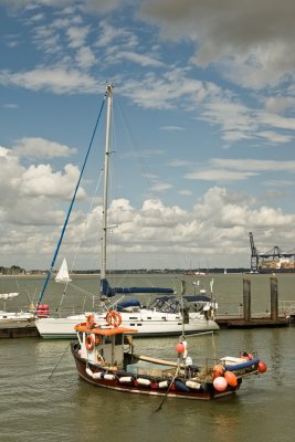 3T6B0015.jpg