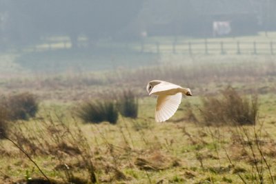 Loddon, Norfolk