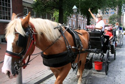Carriage ride..