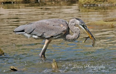 Fishing 101... The catch!!..Pendleton Indiana