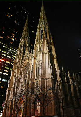 Saint_Patrick's_Cathedral New York , New York