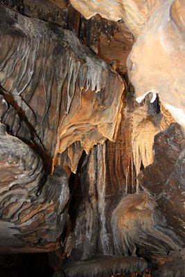 IMG_5633.jpg