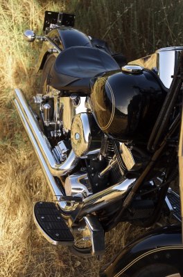 Harley Davidson FATBOY !