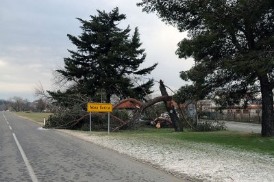 DSC_1829.jpg