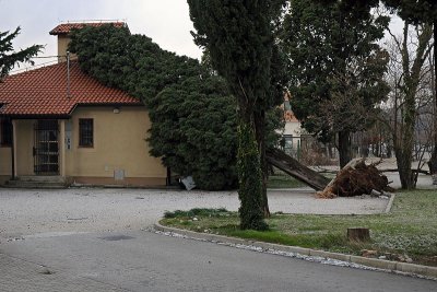 DSC_1851.jpg