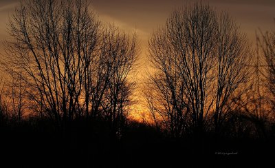 Sunrise Pte Moo IMG_7527.jpg