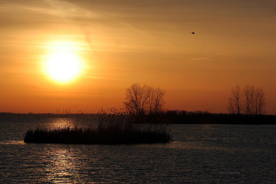 Sunrise Pte Moo IMG_7532.jpg
