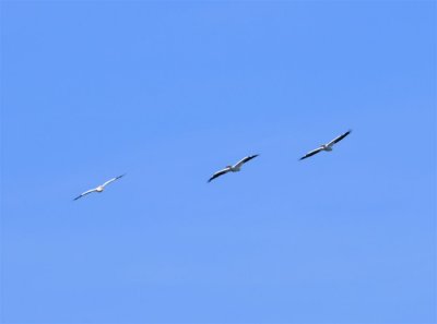 g3/13/857513/3/122295512.pJyeKPN5.jpg
