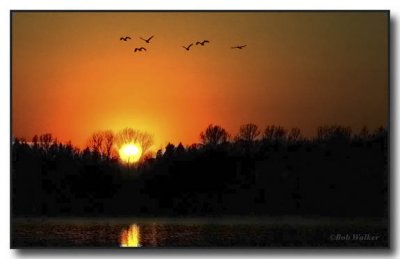 Sunset At Beaver Lake