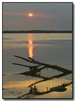 Sunset Reflections