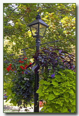 Light Pole In Niagara By The Lake Beautifully Decorated