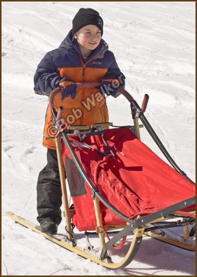 The Future Of The Sport Of Sled Dog Racing Will Lay In The Hands Of Our Young