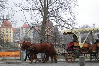 Moritzburg...2009