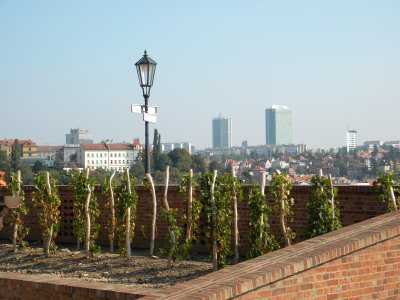 View of Prague from Vyehrad ..