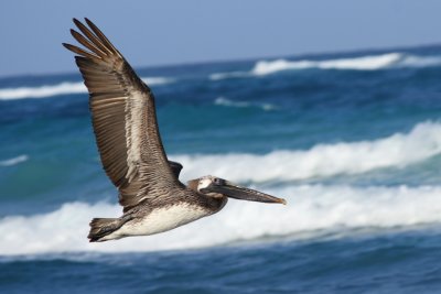 mexico_tulum