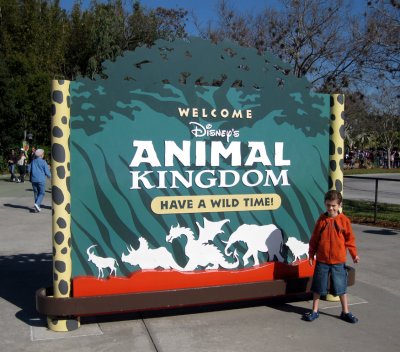disney11.jpg