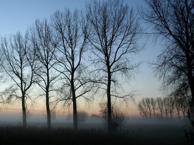 foggy morning