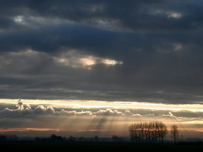 light