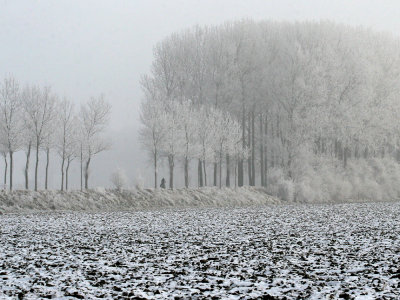 Reuzenhoek