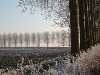 De Griete