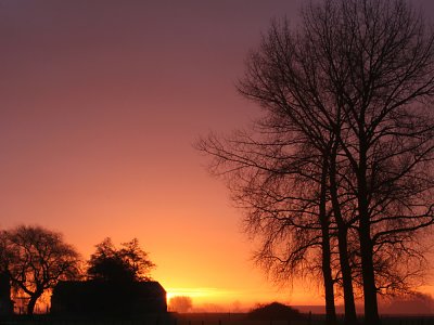 three in morninglight