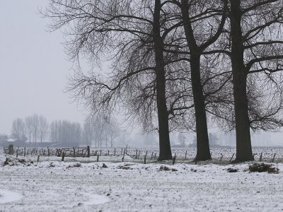 winter.