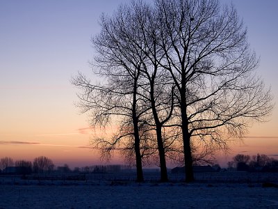 winter.