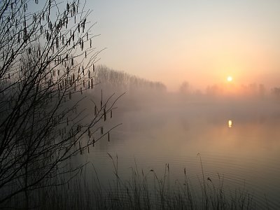 Hengstdijk (de Vogel)