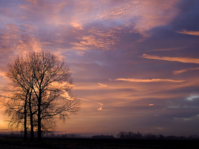 morning