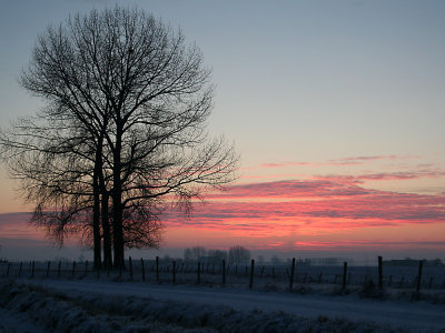 wintermorning