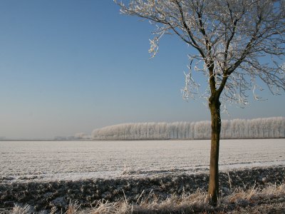 Zaamslag