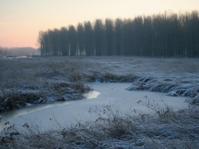 g3/13/928913/3/121201210.NNKeafWz.jpg