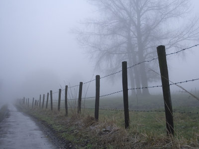 fog